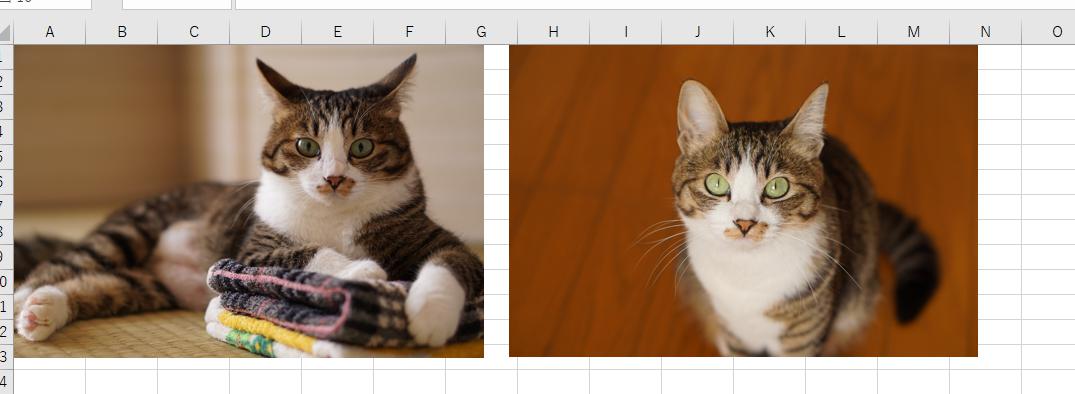 ねこ184 ブログランキングのバナーをエクセル使って作ってみたよヾ ねことアパートと1人暮らし とらやんとおらと