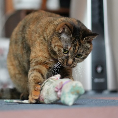 DSC00148