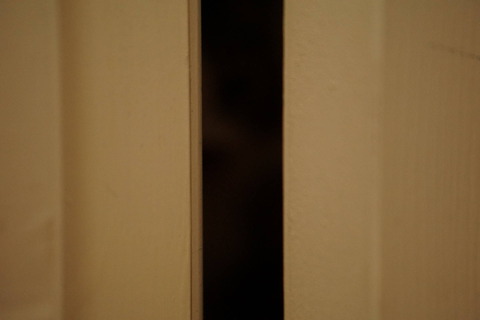 DSC04952