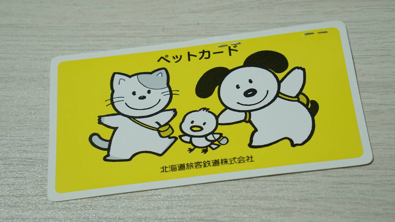 ねこ212 帰省復路 猫と初めての電車 ｿﾜｿﾜ とらと帰省 その11 ねことアパートと1人暮らし とらやんとおらと