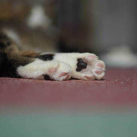 DSC03219