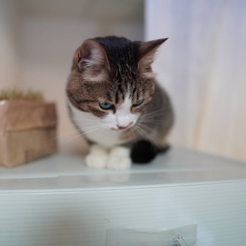 DSC00292
