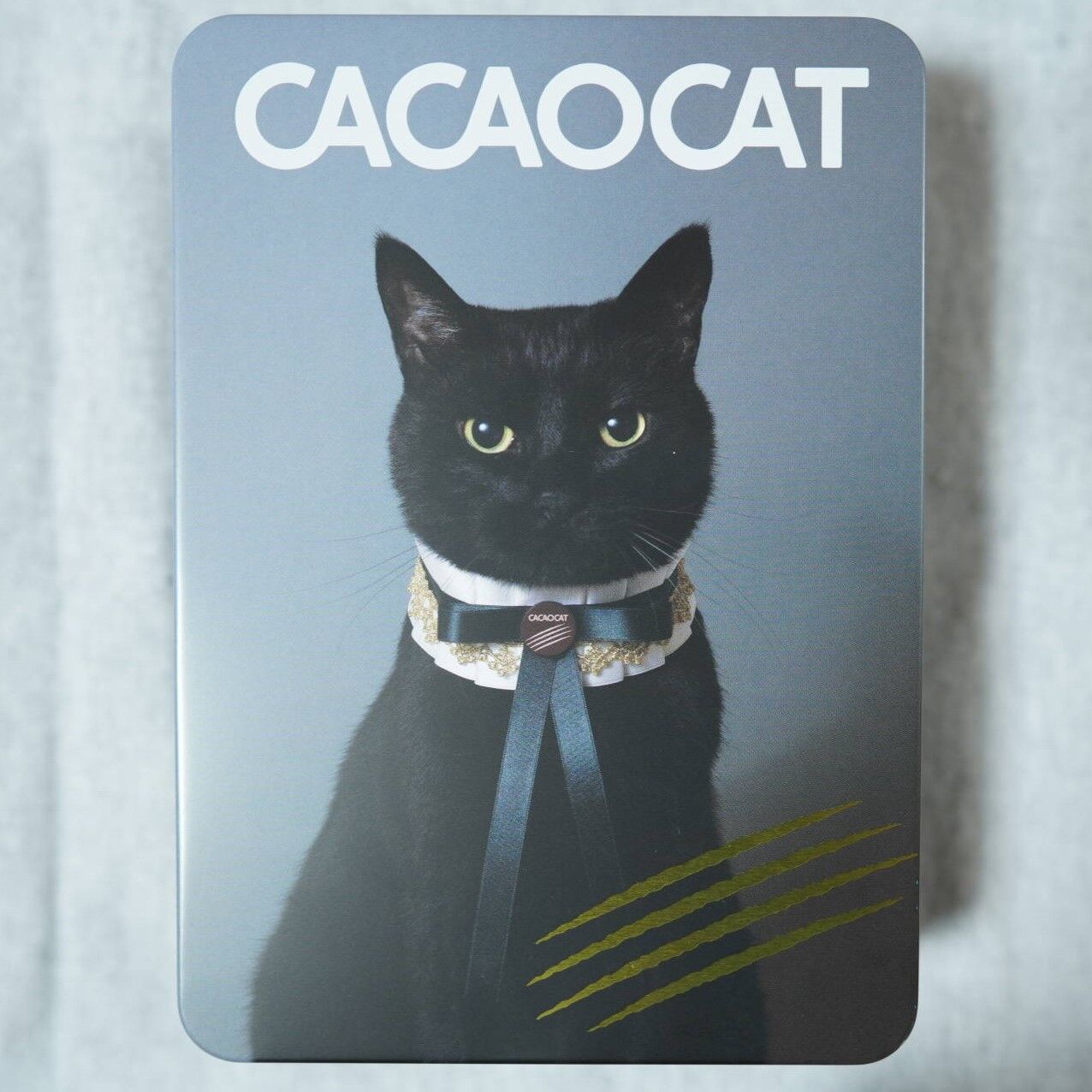 カカオキャットのチョコがんまいぞヾ(*´∀｀*)ﾉ゛の飼い主と