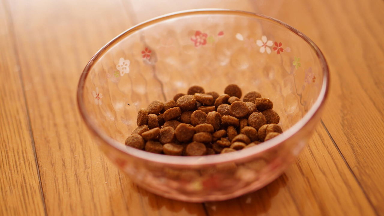 ねことアパートと1人暮らし 16年12月15日