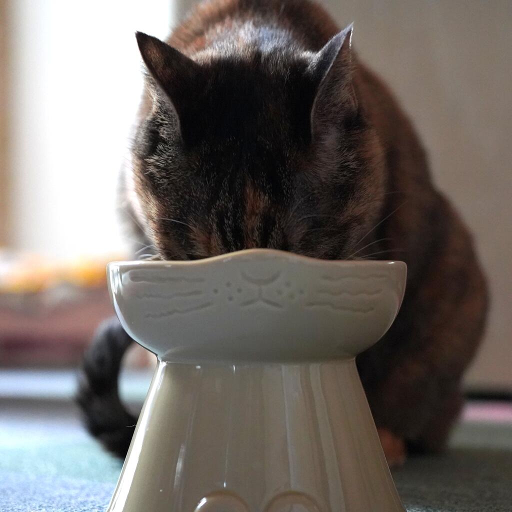 モンプチ☆猫ちゃんご飯＆おやつ^_^☆ 祈ら