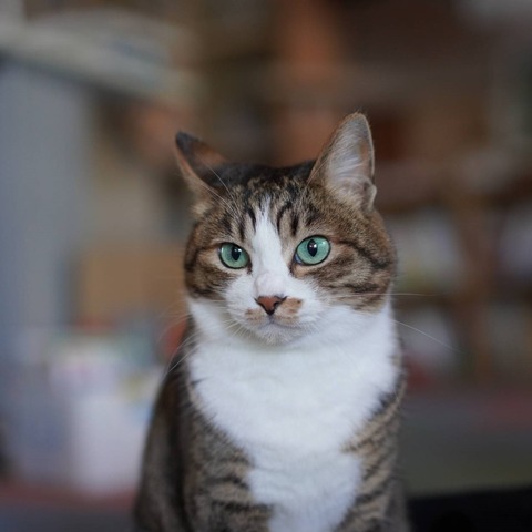 DSC07754
