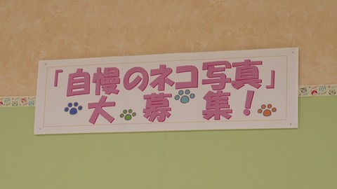岩合さんねこのとけい1