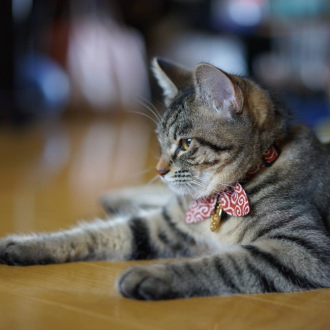 DSC08200
