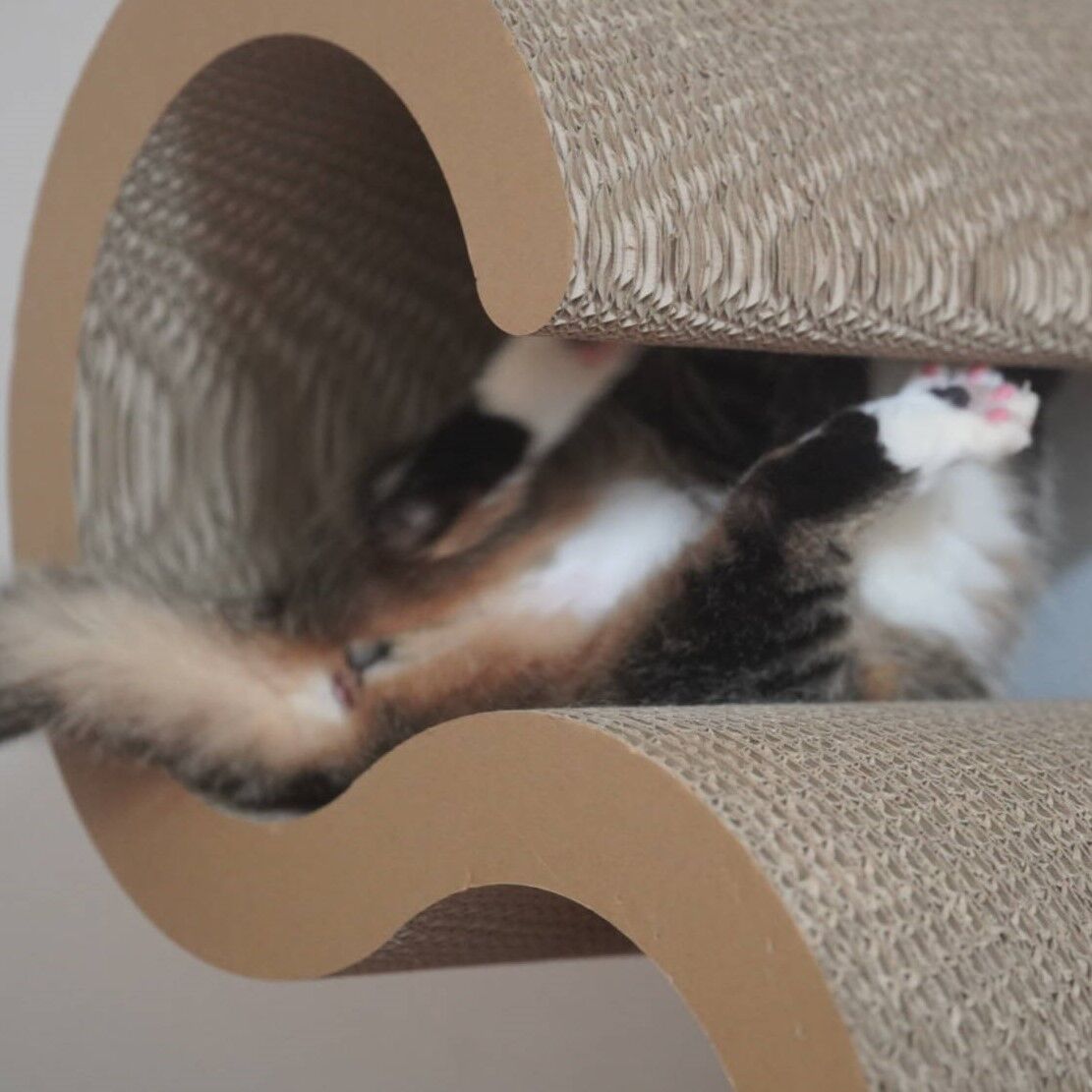 猫906 コンビニのホールケーキに思いをはせる飼い主と爪とぎで程よく暴れる愛猫と ねことアパートと1人暮らし 猫906 コンビニのホールケーキに思いをはせる飼い主と爪とぎで程よく暴れる愛猫と ねことアパートと1人暮らし