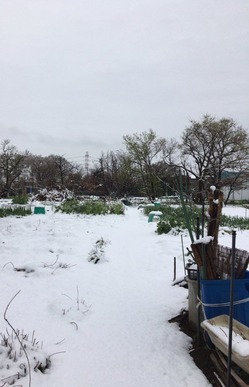 96BC9C79-EC74-476C-997C-0771FC0789BE