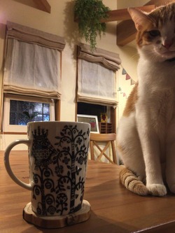 AA168678-5D08-4064-8EED-57DE47F9EEE0