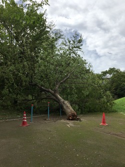 DBA2ADFB-0752-4191-9C72-222F102ACDAF