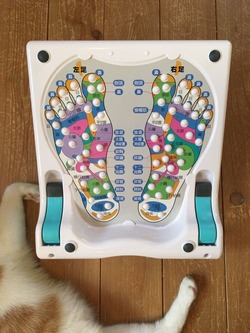 9E72A24F-D351-47FB-A1D2-E3C98D84417C