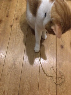 3865BEE7-20C3-4215-B622-23ED962C8A05