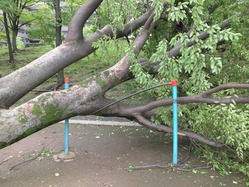 5F9AAC02-D68B-4579-A16F-5CE67ED79BDA