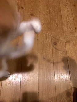 EFB50AC6-7584-488F-A383-4BB6B0E75349