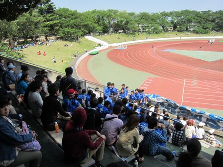 ������¢�����˥�������