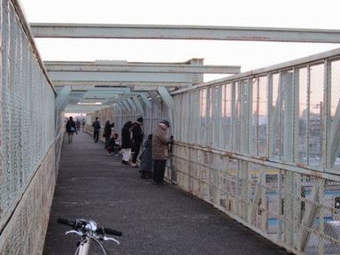 ���������򸫤��