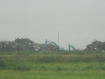 ���쥭���ŵ�