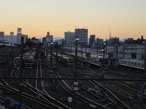 �����żֶ裲