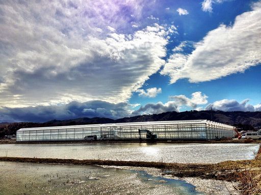 ����ˡ��