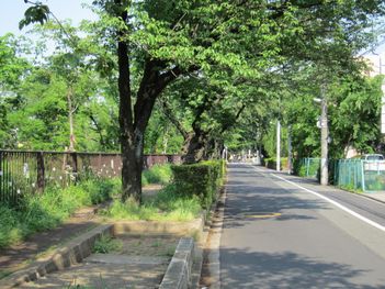 ����Ŵ��