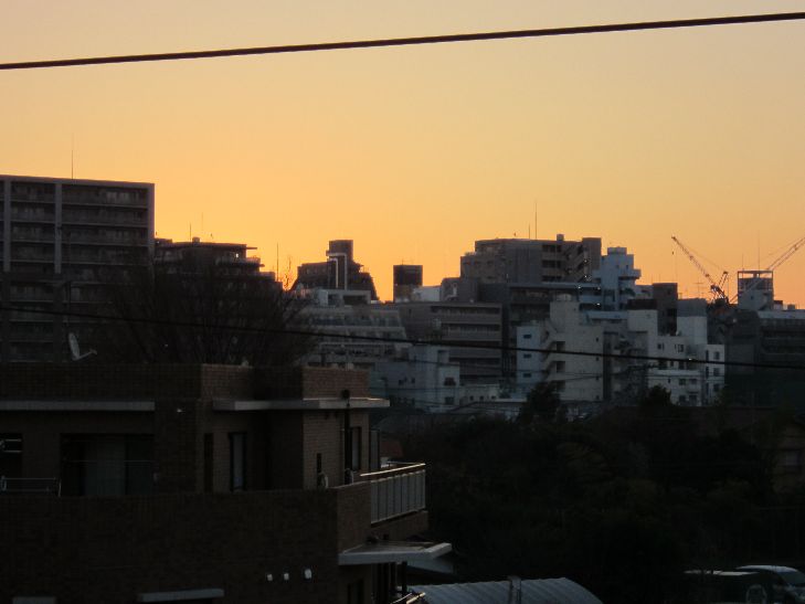 �����ν�ľ��