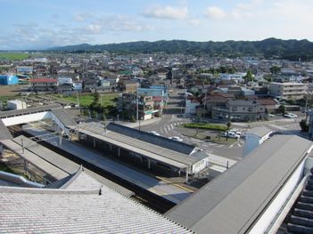 �ؼˤȸ�����