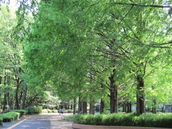 ��ʿ��Ω����̾�