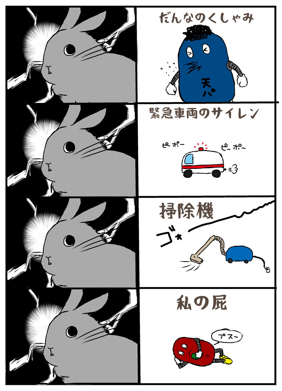 うさぎの嫌いな音100選 まうきちのカリスマ香箱師への道 うさぎの嫌いな音100選 まうきちのカリスマ香箱師への道