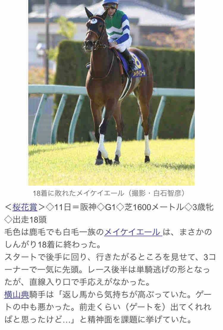 世界の至宝イクイノックス、純白女王ソダシ、サラブレ全部見せ
