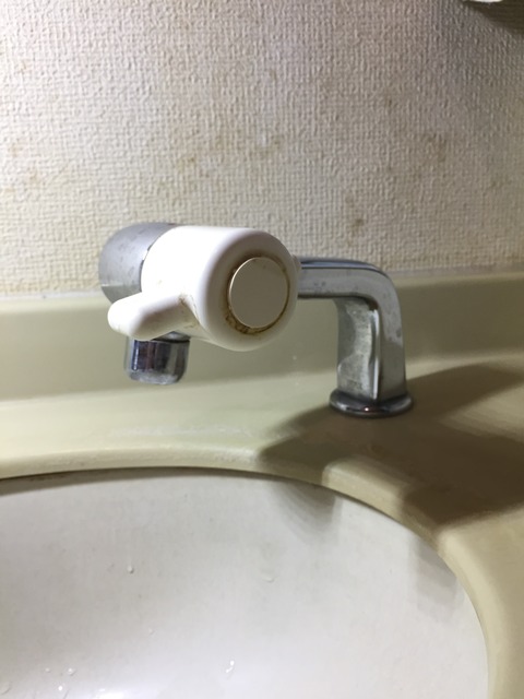 20170916_073140235_iOS
