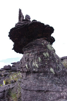 ����줿������85-1