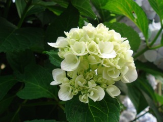 2010_06_21-1