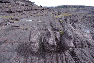 ����줿������82-1