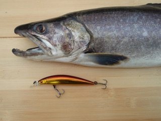 ������6-2