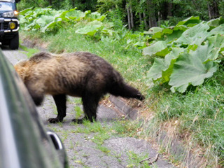 �̳�ƻ��.18-2