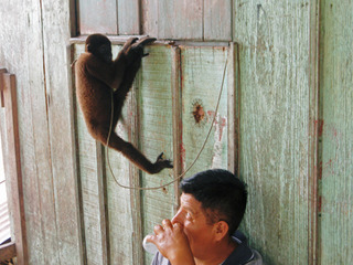 ¥Ú¥ë¡¼µª¹Ô=14-2