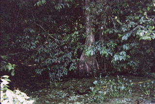 �������ꥫ27��