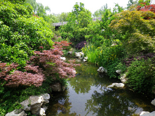 ��񹺽�ι�ԡ�05-1