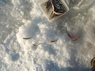 �參����2009_7-2