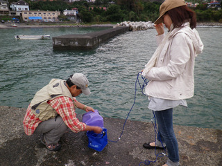 ���ĸ��γ������.02