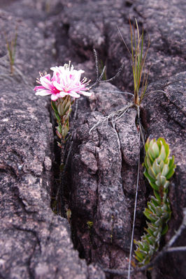 ����줿������82-3