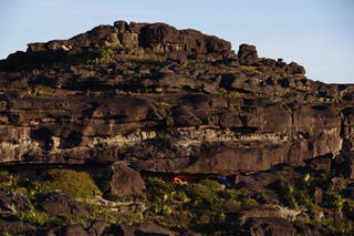 ����줿�����ء�113-1