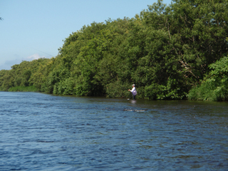 Ë̳¤Æ»»Å»ö»þ¡¹3-1