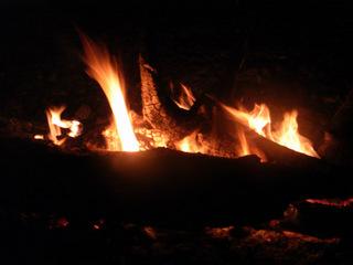 �������å�15