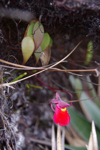 ����줿������84-3