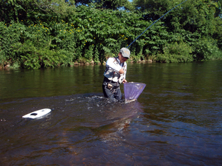 �̳�ƻ�Ż�����4-2