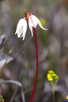 ����줿������85-3