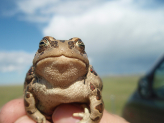 ¥â¥ó¥´¥ë¤Ø¥¿¥¤¥á¥ó¤òÄà¤ê¤Ë¡¡06-3